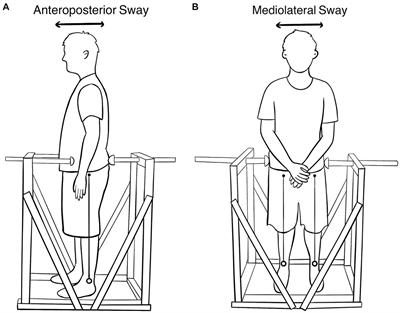 Voluntary postural sway control and mobility in adults with low back pain